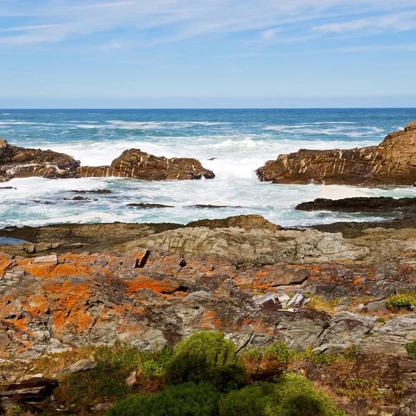 Im südafrikanischen Sky Ocean Reserve — Stockfoto