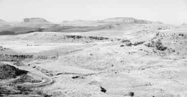   Güney Afrika'da kara çalı ve ağaç 