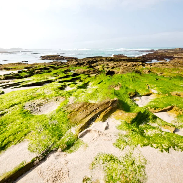 In Sudafrica riserva oceanica del cielo — Foto Stock