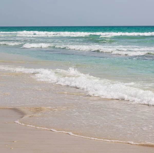 In oman mare arabo spiaggia sabbiosa — Foto Stock