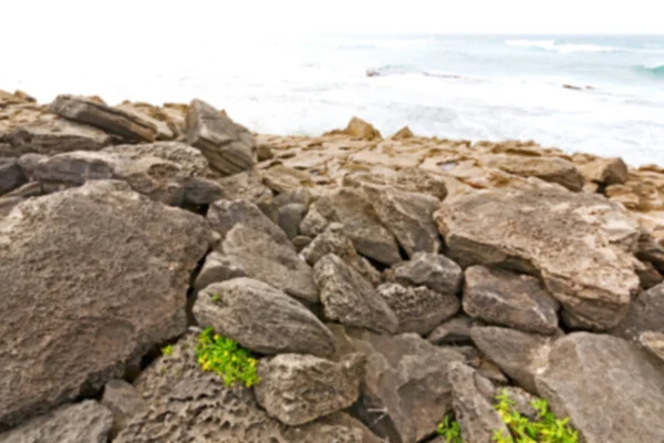 In Zuid-Afrika hemel Oceaan natuurreservaat — Stockfoto