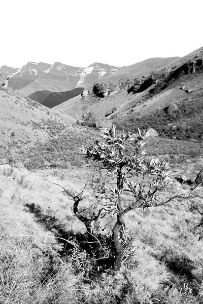 Na África do Sul vale da desolação — Fotografia de Stock