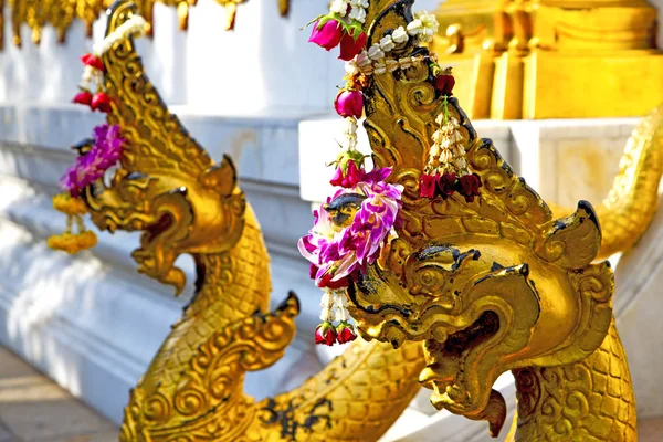 Im tempel bangkok thailand abstrakte wat paläste — Stockfoto