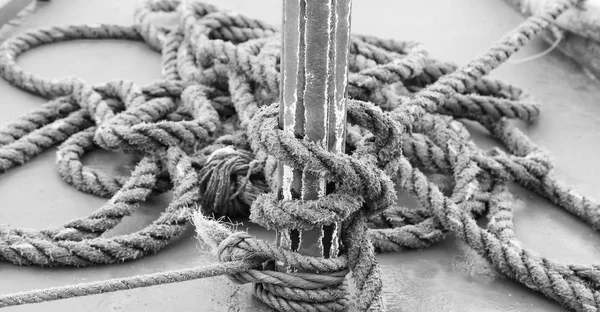 A rope in  yacht accessory  boat — Stock Photo, Image