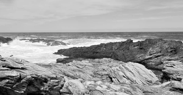 In south africa   sky  ocean      reserve — Stock Photo, Image