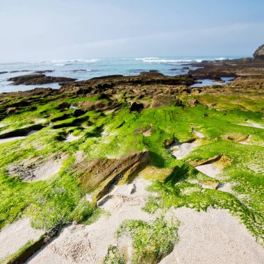  Güney Afrika gökyüzü okyanus yedek olarak