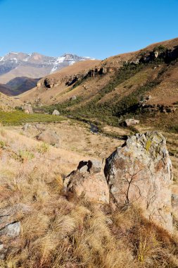   Güney Afrika ıssızlık vadisinde 