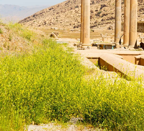 In iran          persepolis — Stock Photo, Image