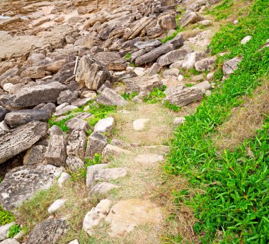   Güney Afrika gökyüzü okyanusta doğa rezerv  