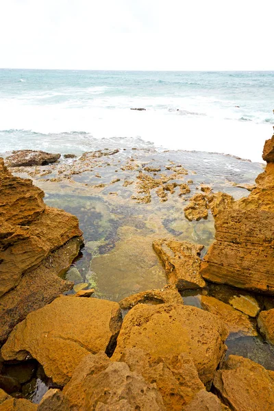 In Zuid-Afrika hemel Oceaan reserveren natuur — Stockfoto