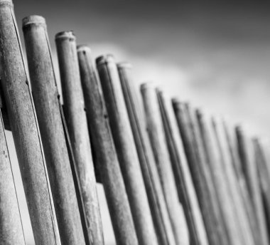 bir bulutlu gökyüzü çok bambu stick doğal çit için