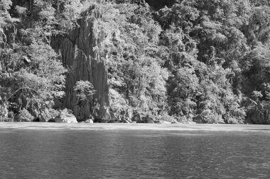bir tekne güzellikler kıyı şeridi deniz ve rock 