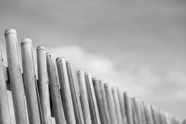 Em um céu nublado lotes bambu vara para cerca natural — Fotografia de Stock