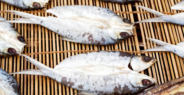 Veel vis gezouten en drogen van de voorbereiding op de markt — Stockfoto