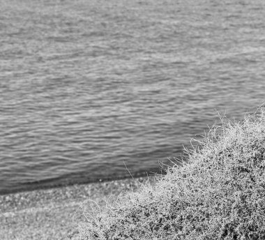 Rock deniz ve plaj Avrupa Yunanistan'da mykonos Adası