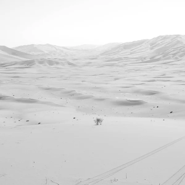 En oman viejo desierto frotar al khali el cuarto vacío y al aire libre — Foto de Stock