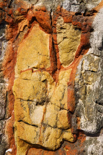 Lanzarote spain  texture of a broke  lichens — Stock Photo, Image