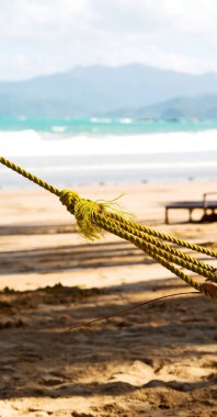    ocean beach yakınındaki bir hamak üzerinden görüntülemek  