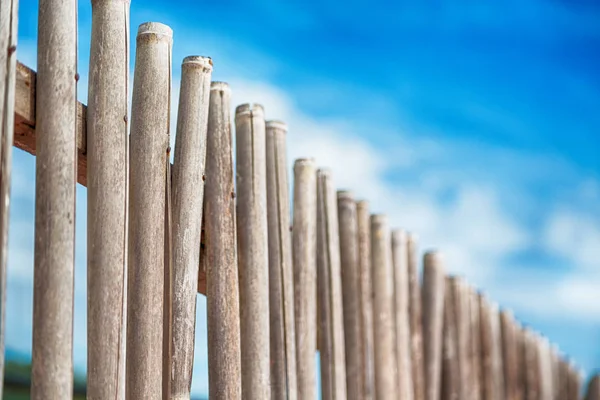 Bir bulutlu gökyüzü çok bambu stick doğal çit için — Stok fotoğraf