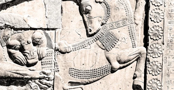 A persepolis Irán — Stock Fotó