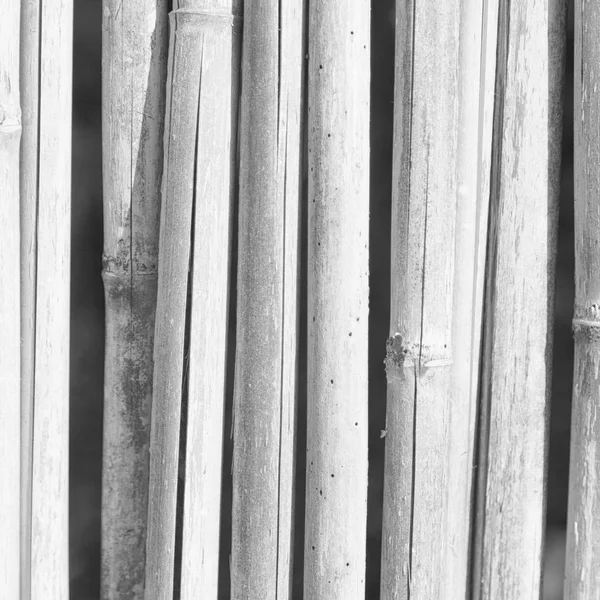 Egy falat építeni a fonott bambusz — Stock Fotó
