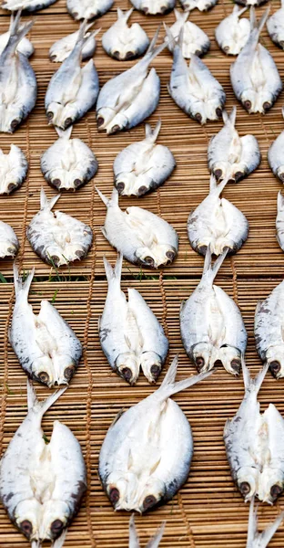 Un sacco di pesce salato e secco preparazione per il mercato — Foto Stock