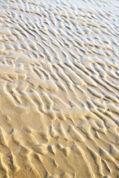 Duna morocco africa marrón cerca del océano atlántico — Foto de Stock