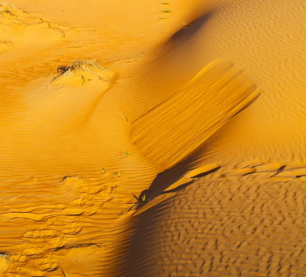 In oman vecchio deserto strofinare al khali il quartiere vuoto e all'aperto — Foto Stock