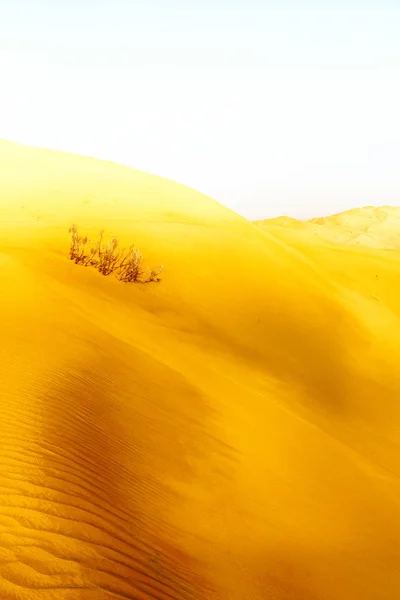 Nel vecchio deserto di oman — Foto Stock