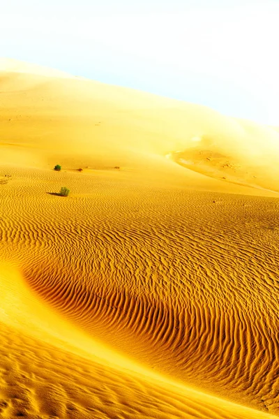 Em oman velho deserto esfregar al khali o quarto vazio e ao ar livre s — Fotografia de Stock