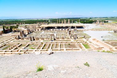 İran persepolis  