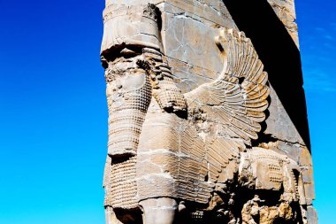 İran persepolis  