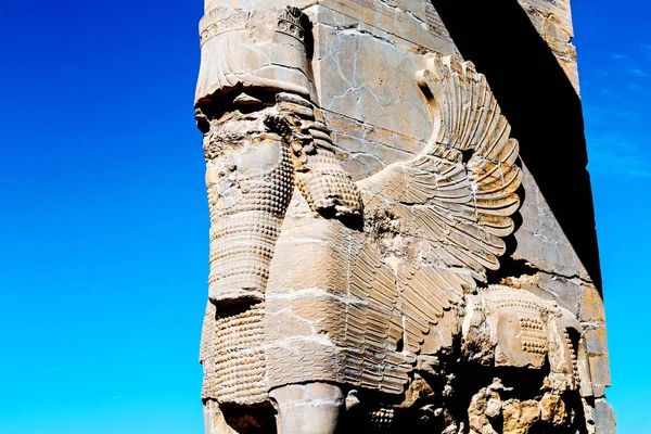 In iran     persepolis — Stock Photo, Image