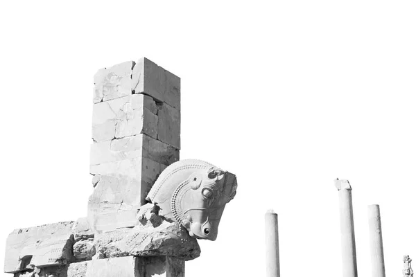 W Iranie persepolis — Zdjęcie stockowe