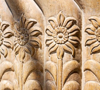 eski iran mousque çiçek