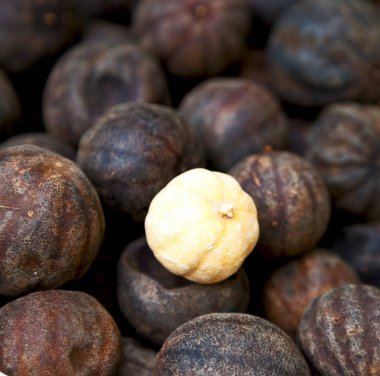  soyut desen kuru limon 