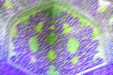 İran'da dini mimari