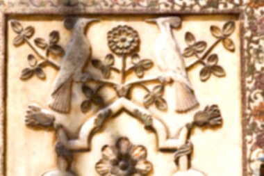 eski iran mousque çiçek