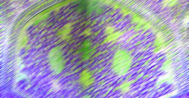 İran'da dini mimari