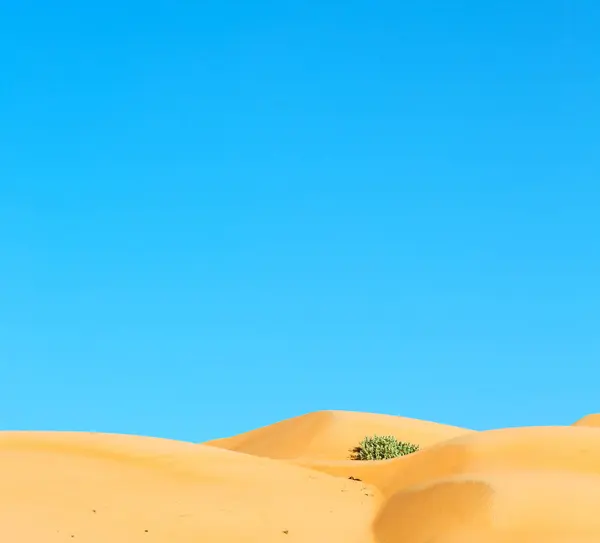 In oman oude desert rub al khali de lege kwartaal en buiten — Stockfoto