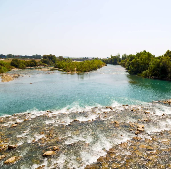 Nära floden och natur — Stockfoto