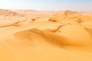 Umman çeyrek ve açık  