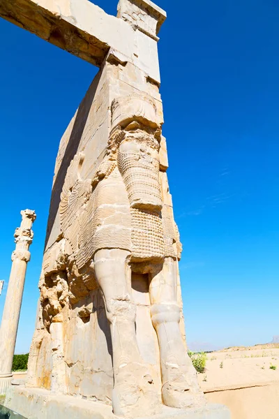 In iran persepolis — Stock Photo, Image