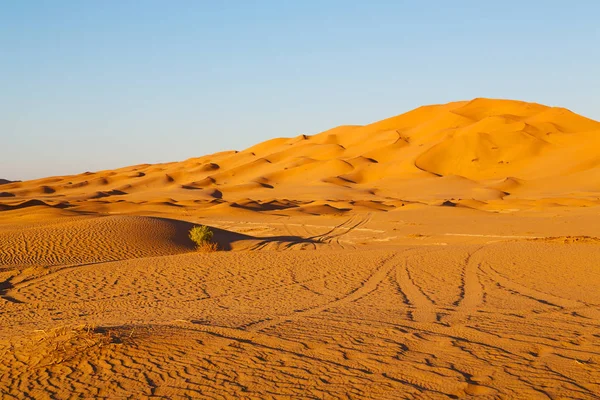 No velho deserto oman — Fotografia de Stock