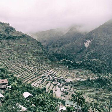   coultivation pirinç Teras alanı   