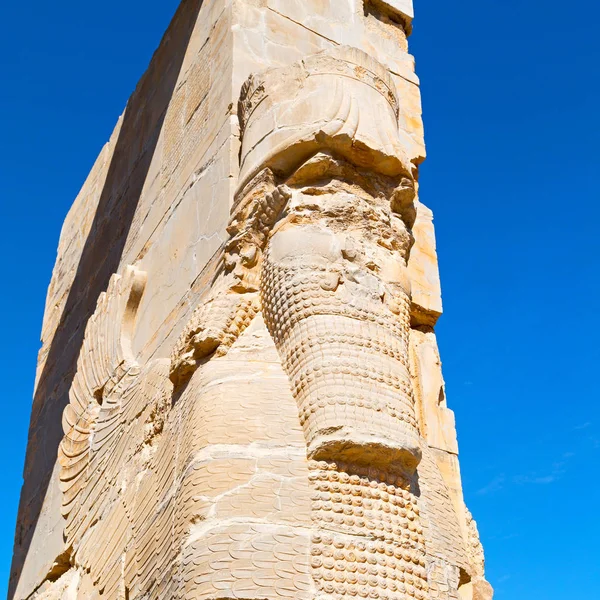 En iran persepolis —  Fotos de Stock