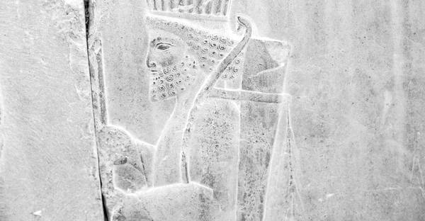 In iran persepolis — Foto Stock