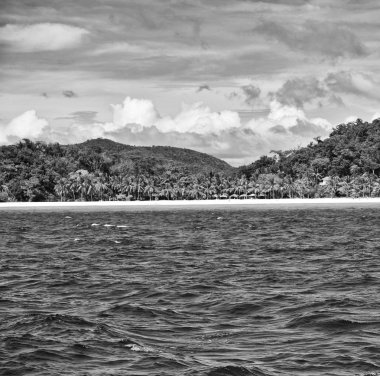 bir tekne güzellikler kıyı şeridi deniz ve rock 