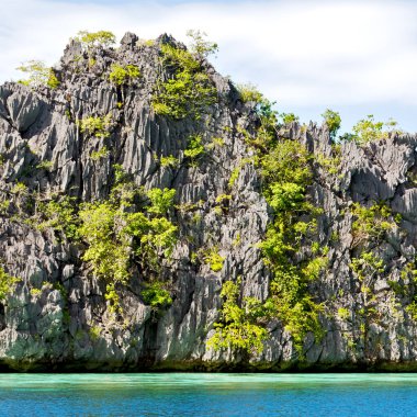 güzel cennet Körfezi ve tropikal bir uçurumun üzerinden Filipinler görünümünde lagoon