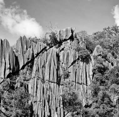 bir tekne palm cliff Beach görünümünden Filipinler ve Pasifik Okyanusu kayadan bulanıklık